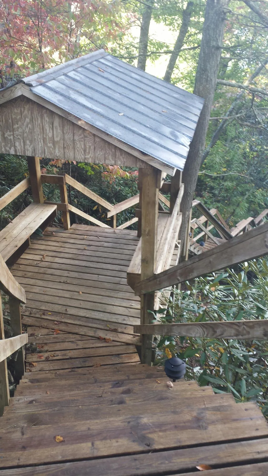 Metal roofed shelter over wooden steps on a wooded walkway — Skylight Repair & Installation work by our crew in Sharon Grove